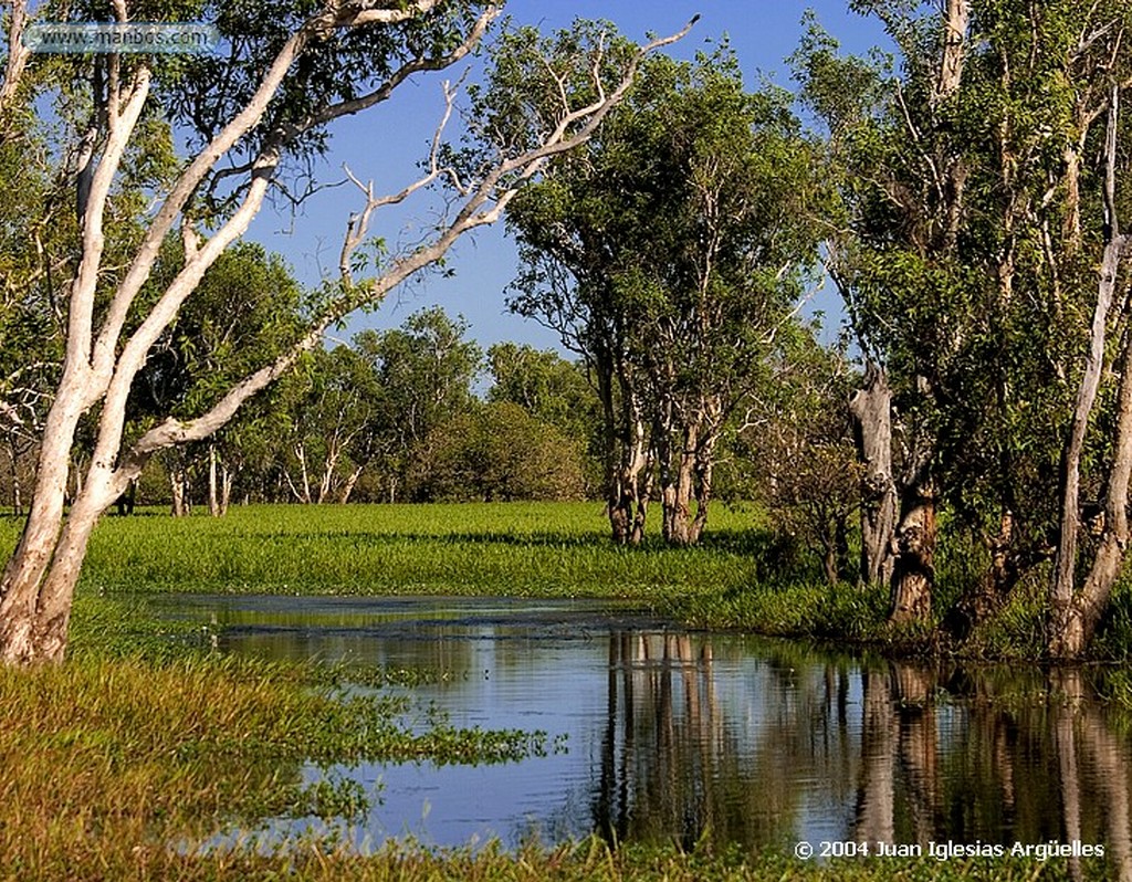 Parque Nacional de Kakadu
Abejarruco arcoiris
Territorio del Norte
