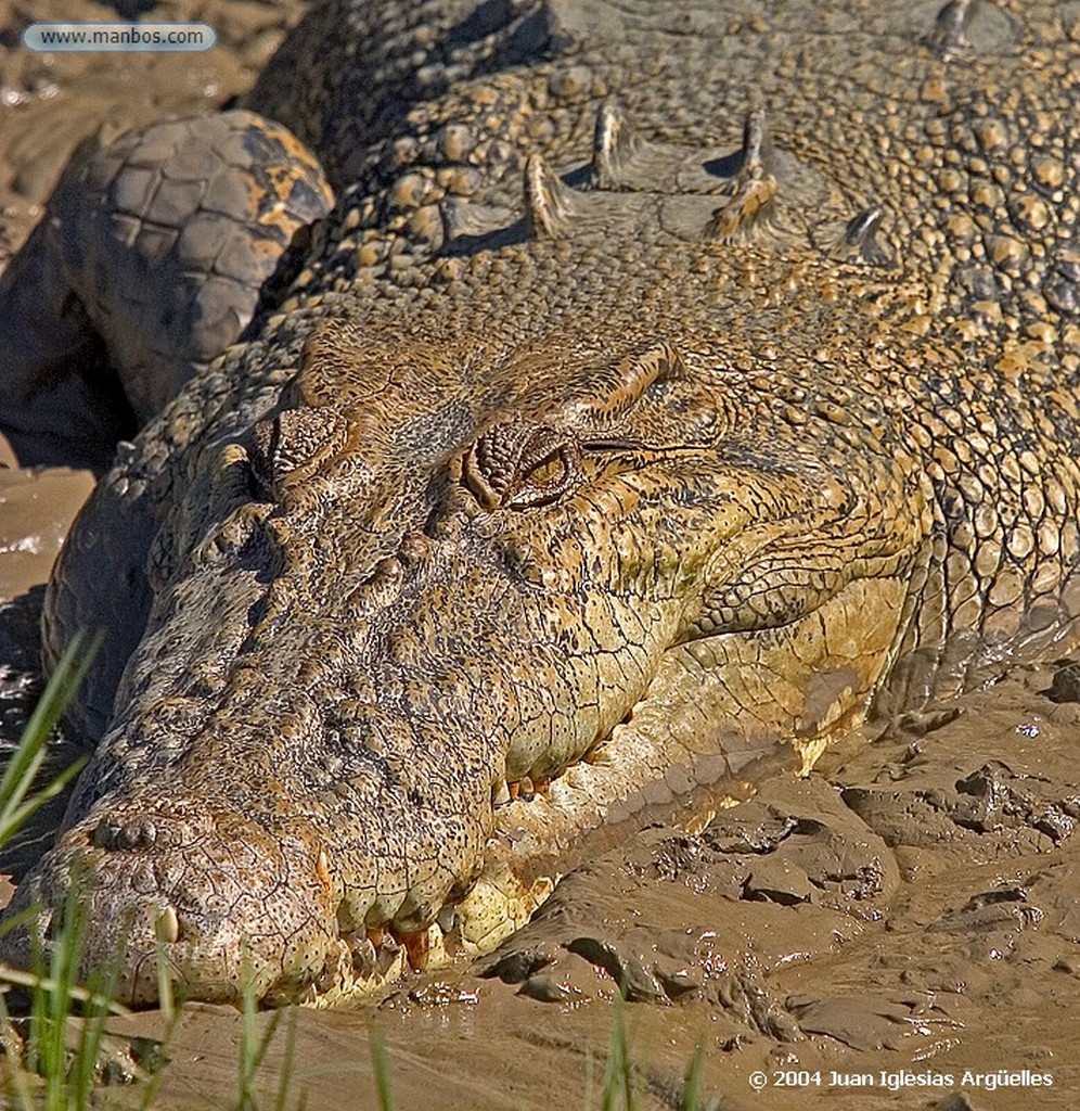 Parque Nacional de Kakadu
Por tu cuenta y riesgo
Territorio del Norte