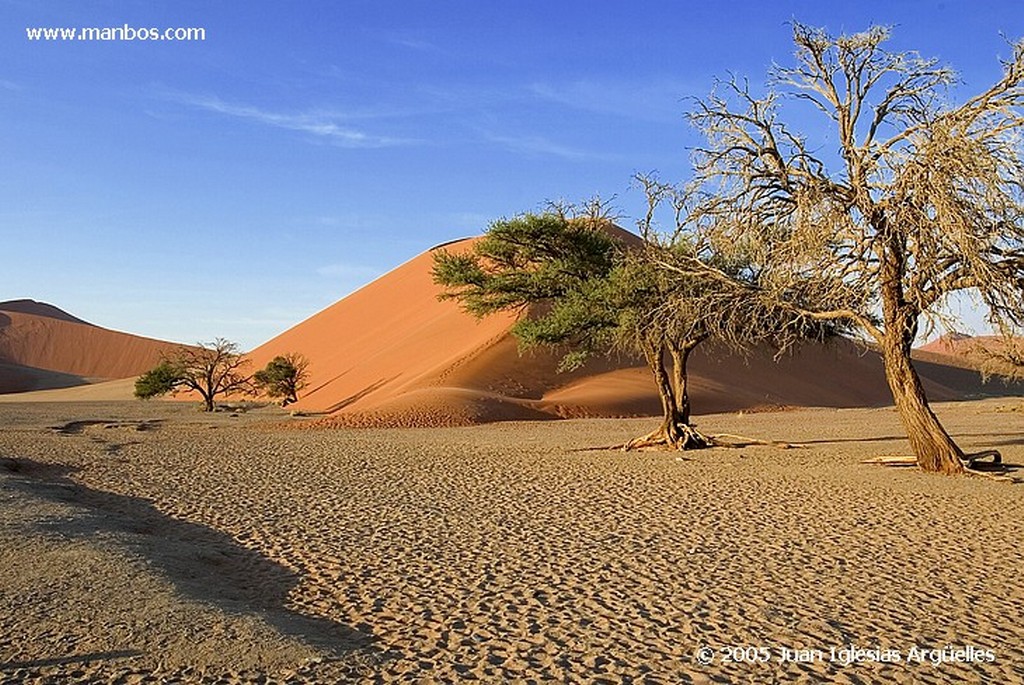 Namib Naukluft Park
Desierto del Namib
Namibia