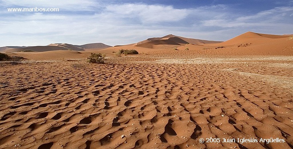 Namib Naukluft Park
Dead Vlei, Desierto del Namib
Namibia