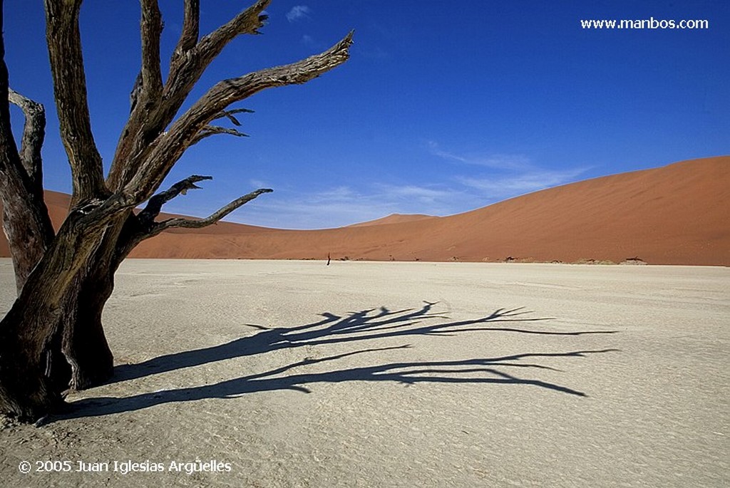 Namib Naukluft Park
Dead Vlei, Desierto del Namib
Namibia