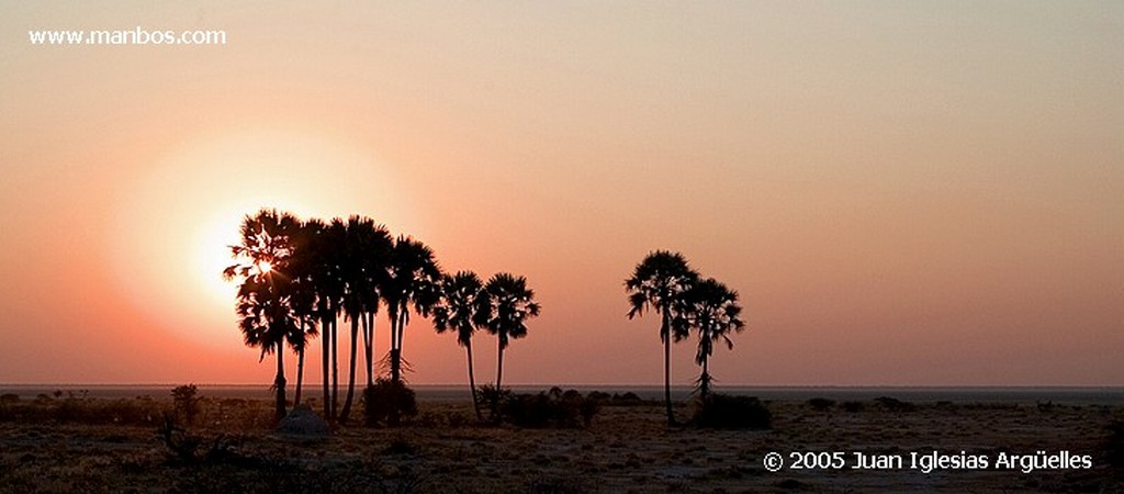 Etosha National Park
Parque Nacional de Etosha
Namibia