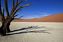 Namib Naukluft Park
Dead Vlei, Desierto del Namib
Namibia
