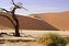 Namib Naukluft Park
Dead Vlei, Desierto del Namib
Namibia