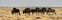 Etosha National Park
Parque Nacional de Etosha
Namibia