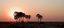 Etosha National Park
Atardecer en Tree Palms
Namibia