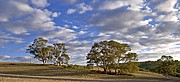 Wirrabara, Wirrabara, Australia