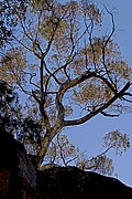 Mt. Remarkable, Mt. Remarkable, Australia