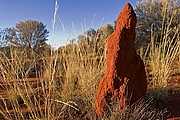 Parque Nacional Nitmiluk, Parque Nacional Nitmiluk, Australia