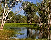 Camara Canon EOS 10D
Billabong
Australia
PARQUE NACIONAL DE KAKADU
Foto: 14577