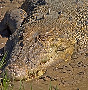 Parque Nacional de Kakadu, Parque Nacional de Kakadu, Australia