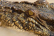 Parque Nacional de Kakadu, Parque Nacional de Kakadu, Australia