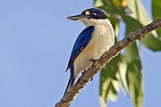 Parque Nacional de Kakadu, Parque Nacional de Kakadu, Australia