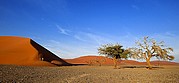 Camara Canon EOS-1D
Desierto del Namib
Namibia
NAMIB NAUKLUFT PARK
Foto: 9971