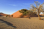 Camara Canon EOS-1D
Desierto del Namib
Namibia
NAMIB NAUKLUFT PARK
Foto: 9972