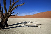 Namib Naukluft Park, Namib Naukluft Park, Namibia