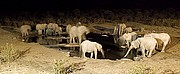 Etosha National Park, Etosha National Park, Namibia