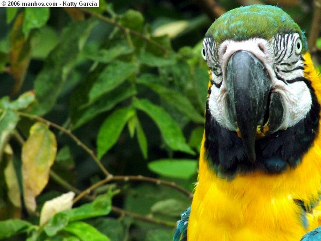 Foto de San Borondon, Parque Histórico, Guayas, Ecuador - Lora