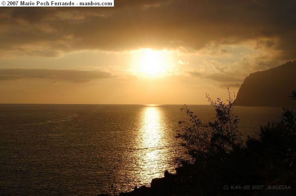 Funchal
Censando tortugas
Madeira