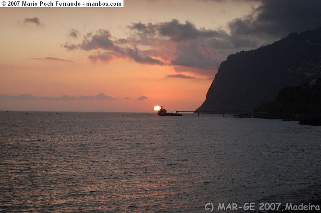 Funchal
La Sirena del Puerto
Madeira