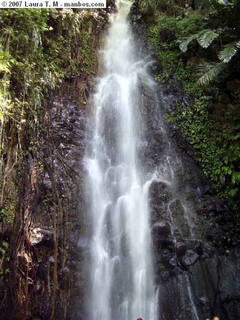 Richmond Vale
La catarata
Granada