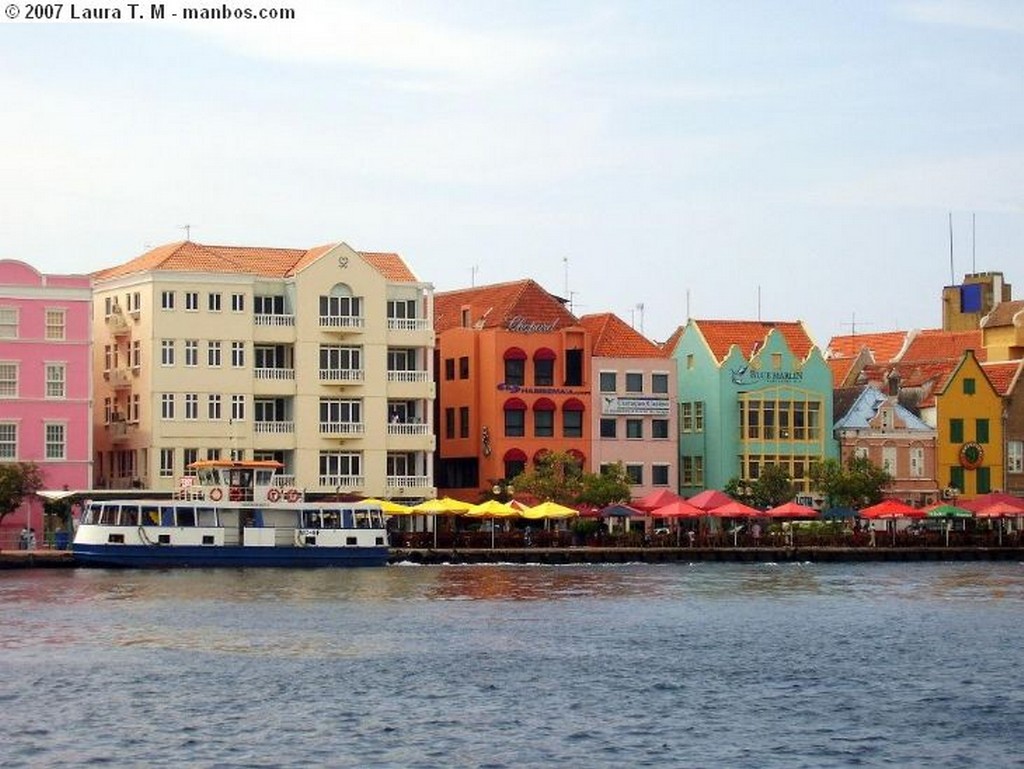 Willemstad
Tortuga gigante del Sea Aquarium
Curaçao