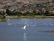 Laguna de Yaguarcocha, Ibarra, Ecuador