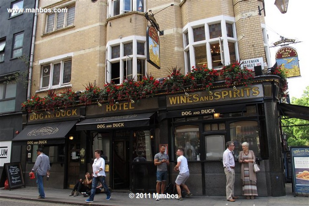 Londres
Pub The Dog and Duck Londres
Londres