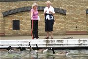 Little Venice, Londres, Reino Unido