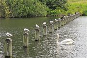 Kensington Gardens, Londres, Reino Unido