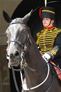 Horse Guards, Londres, Reino Unido