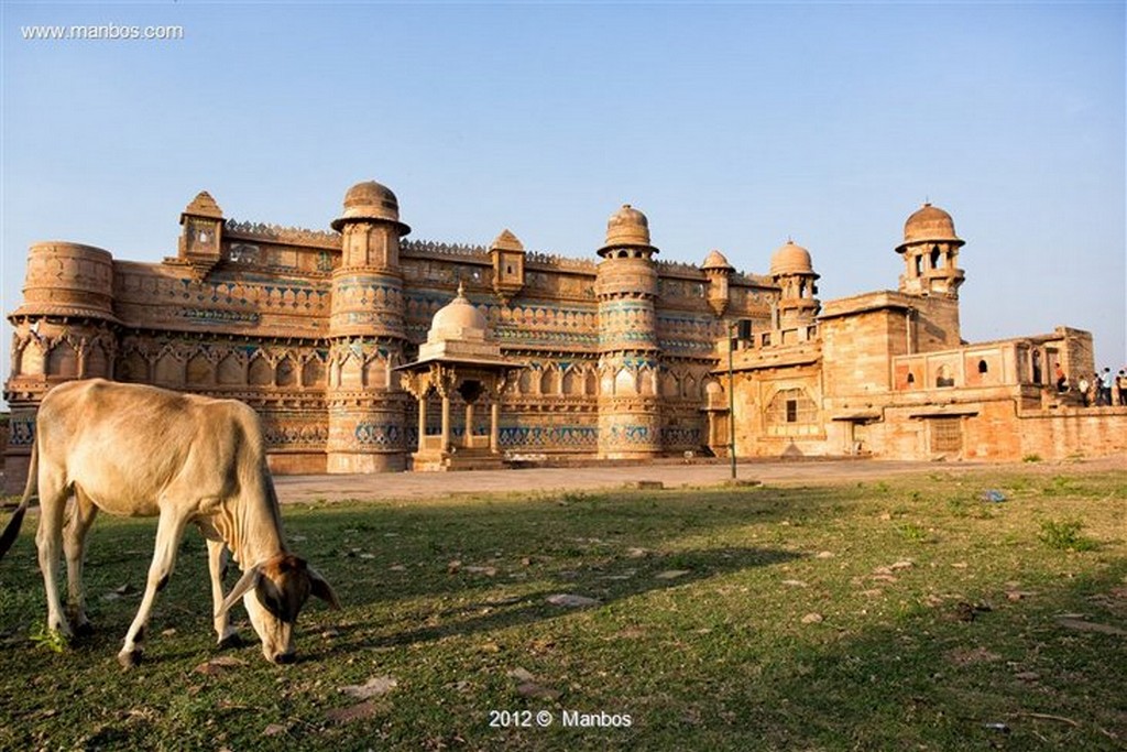 Gwalior
Figuras Jainistas
Madya Pradesh