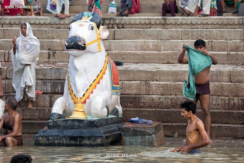 Varanasi
Uttar Pradesh