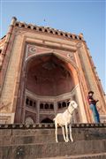 Buland Darwaza, Fatehpur Sikri, India