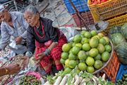 Objetivo EF24-105mm f/4L
Viaje a Nepal
KATMANDU
Foto: 30183