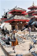 Camara Canon EOS 5D Mark III
Viaje a Nepal
KATMANDU
Foto: 30154