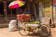 Objetivo EF24-105mm f/4L
Viaje a Nepal
BHAKTAPUR
Foto: 30070