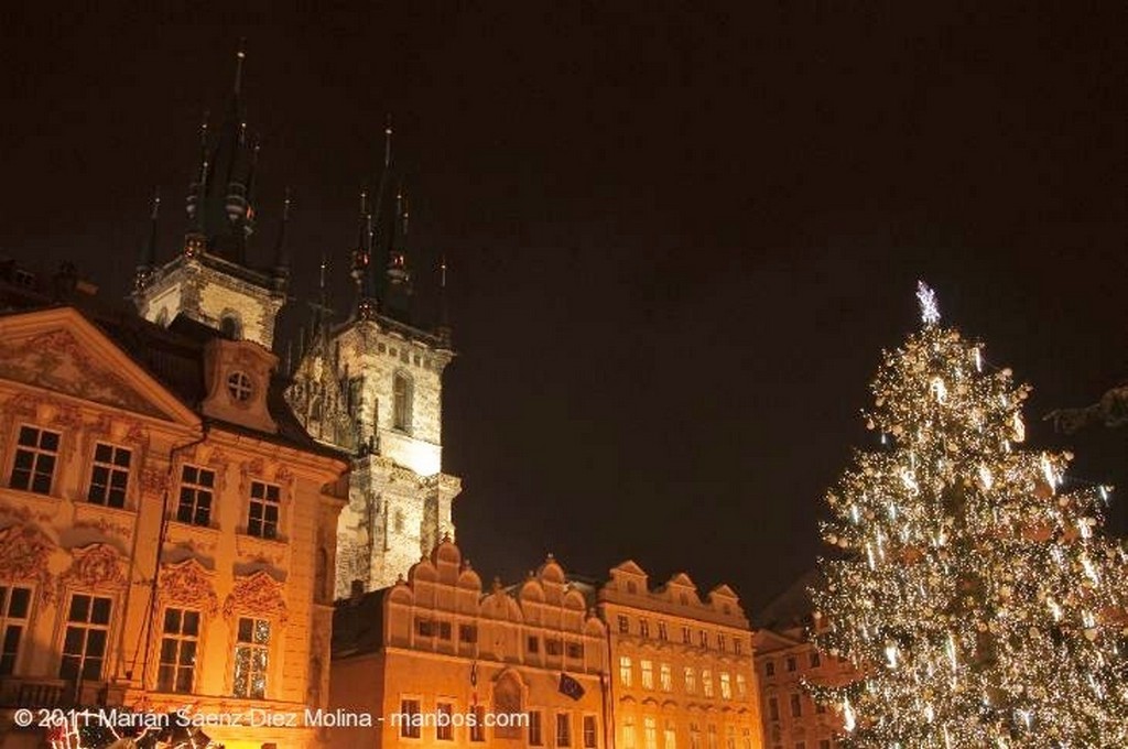 Praga
Catedral de San Vito
Praga