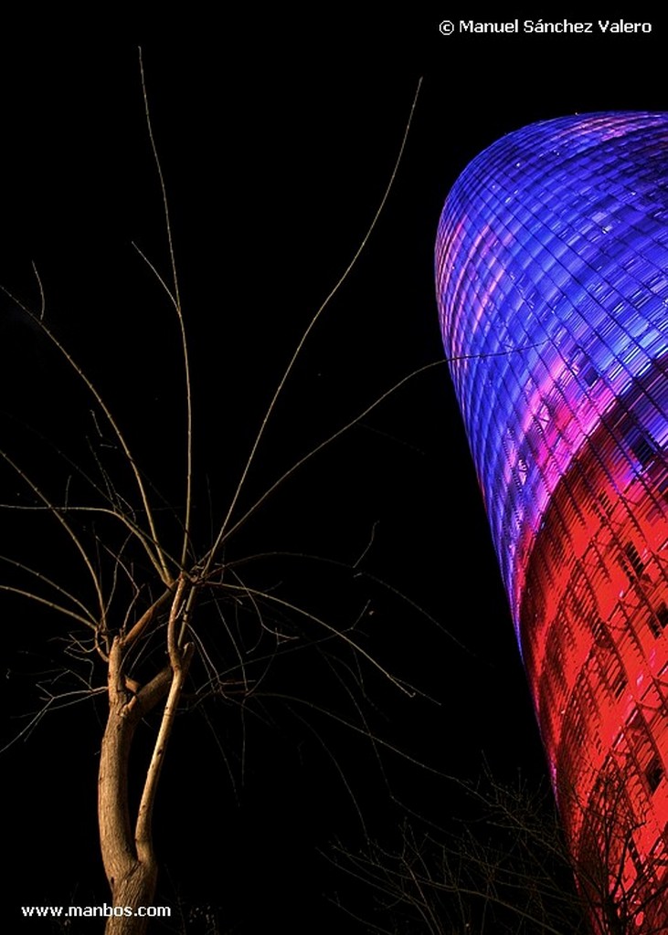Barcelona
Arbol con Torre
Barcelona