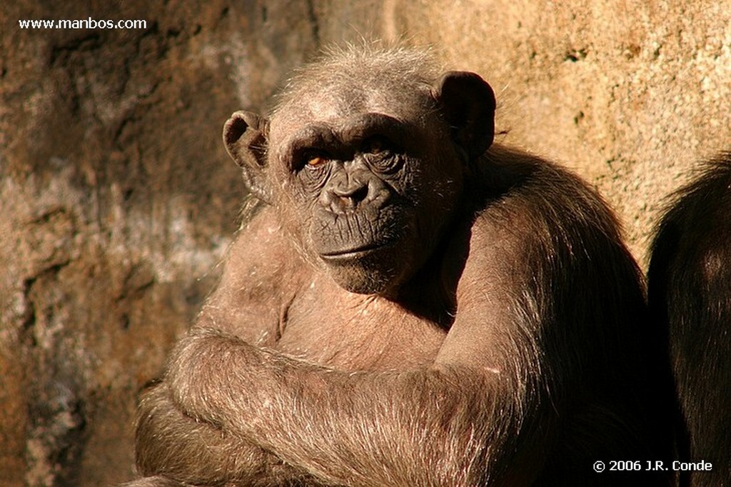 Zoo de Barcelona
Barcelona