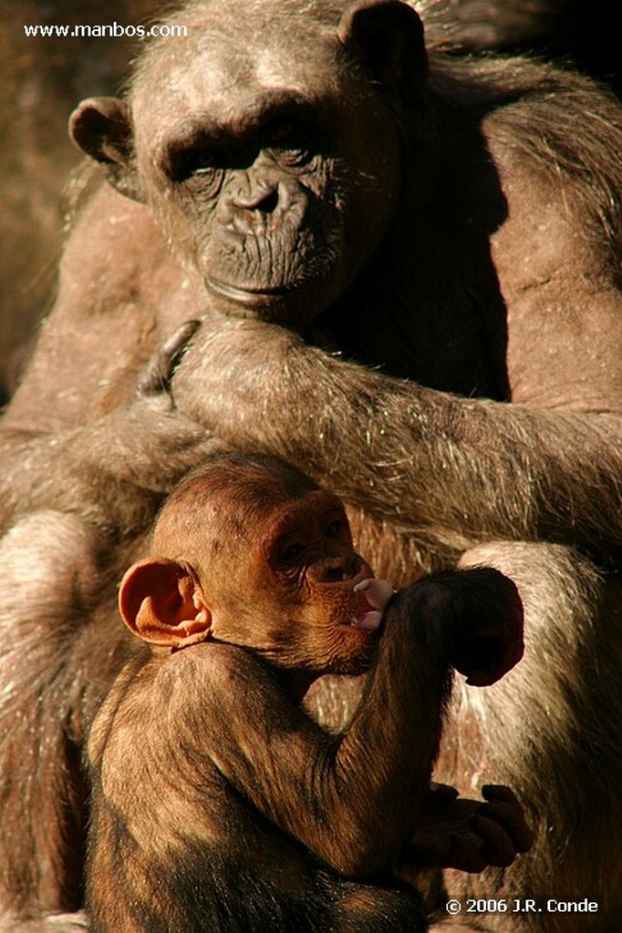 Zoo de Barcelona
Barcelona