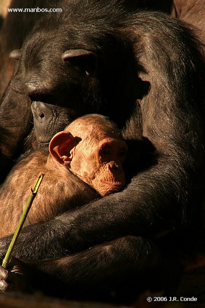 Zoo de Barcelona
Barcelona