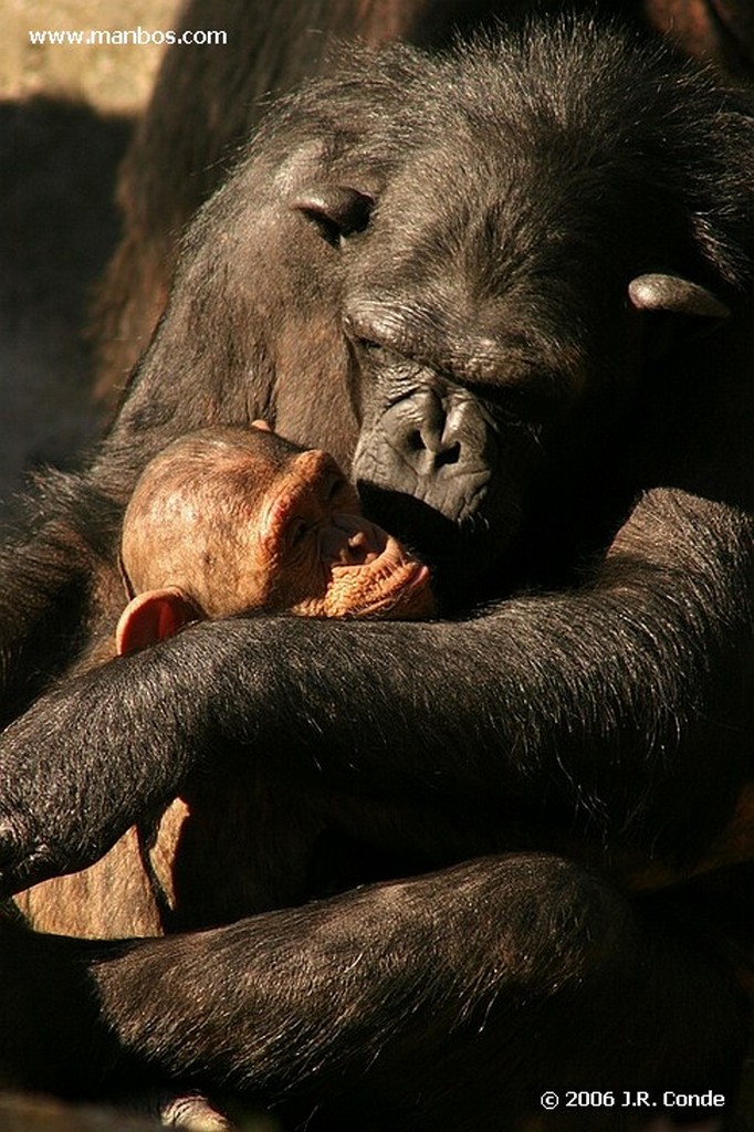 Zoo de Barcelona
Barcelona