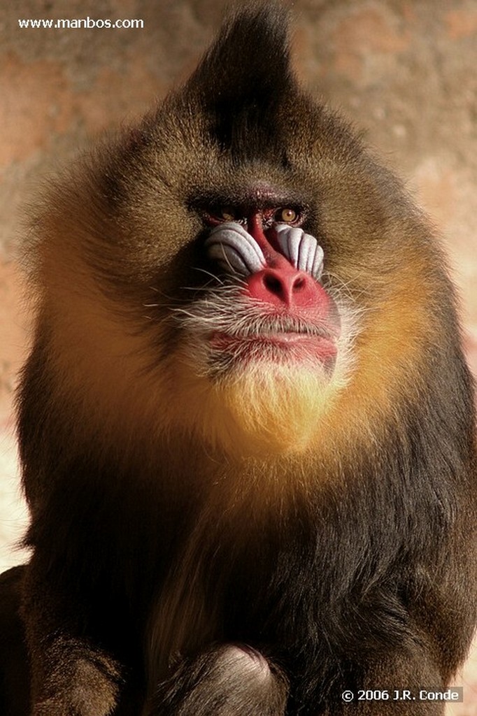 Zoo de Barcelona
Barcelona