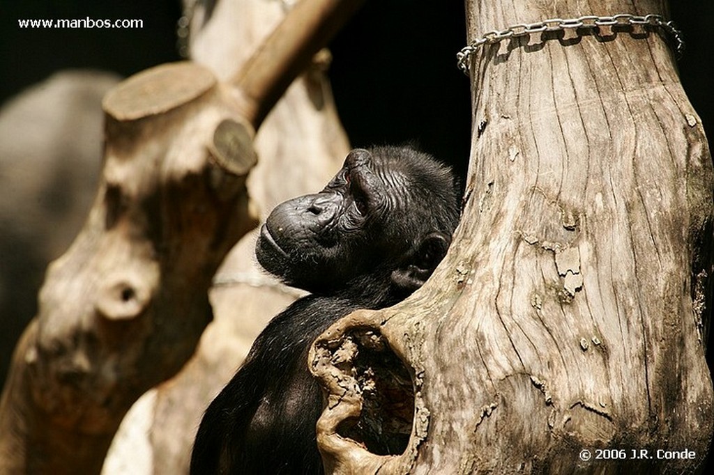 Zoo de Barcelona
Barcelona