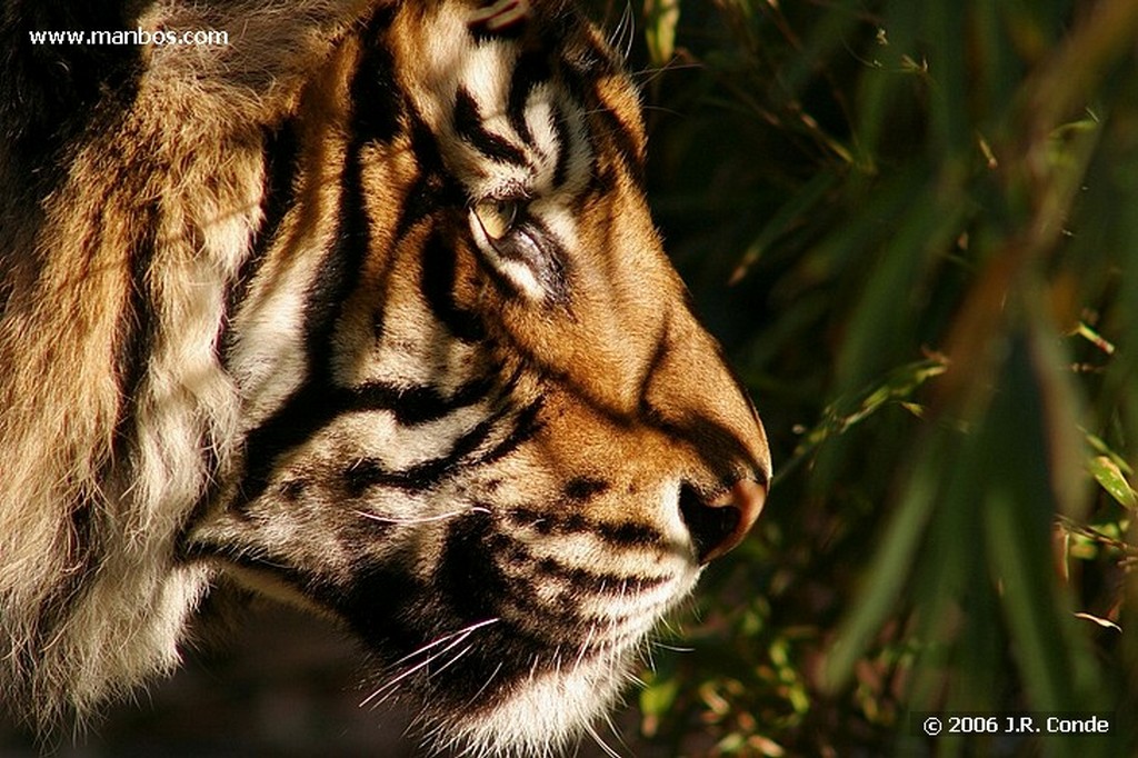 Zoo de Barcelona
Barcelona