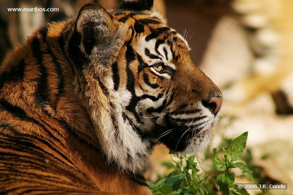 Zoo de Barcelona
Barcelona