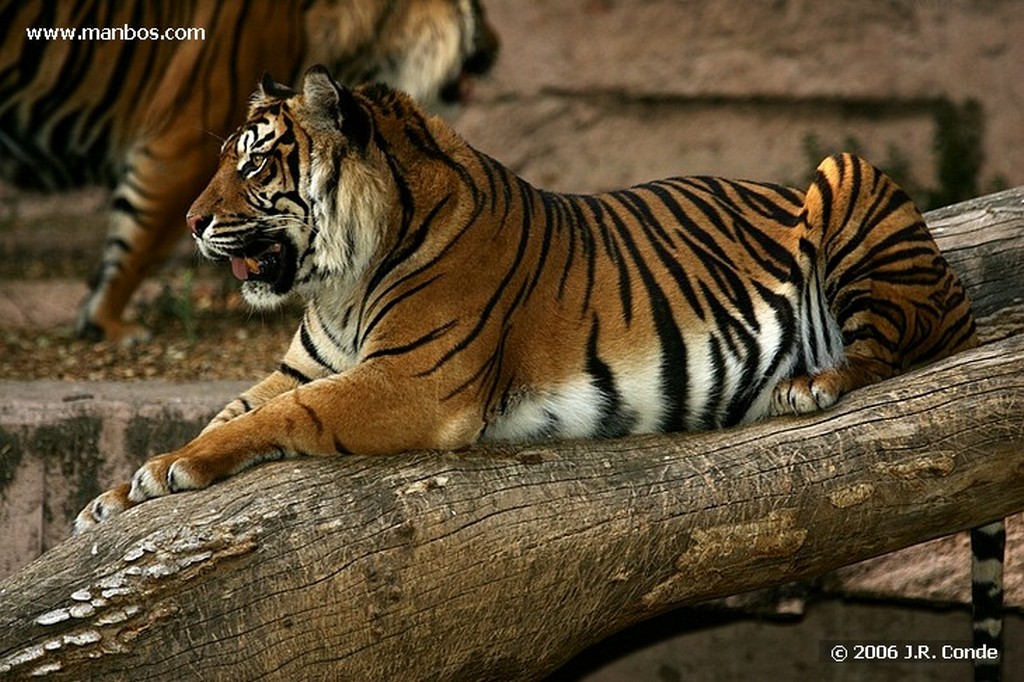 Zoo de Barcelona
Barcelona