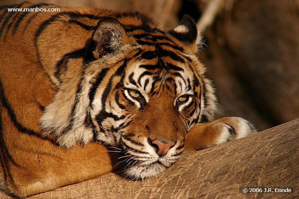 Zoo de Barcelona
Barcelona