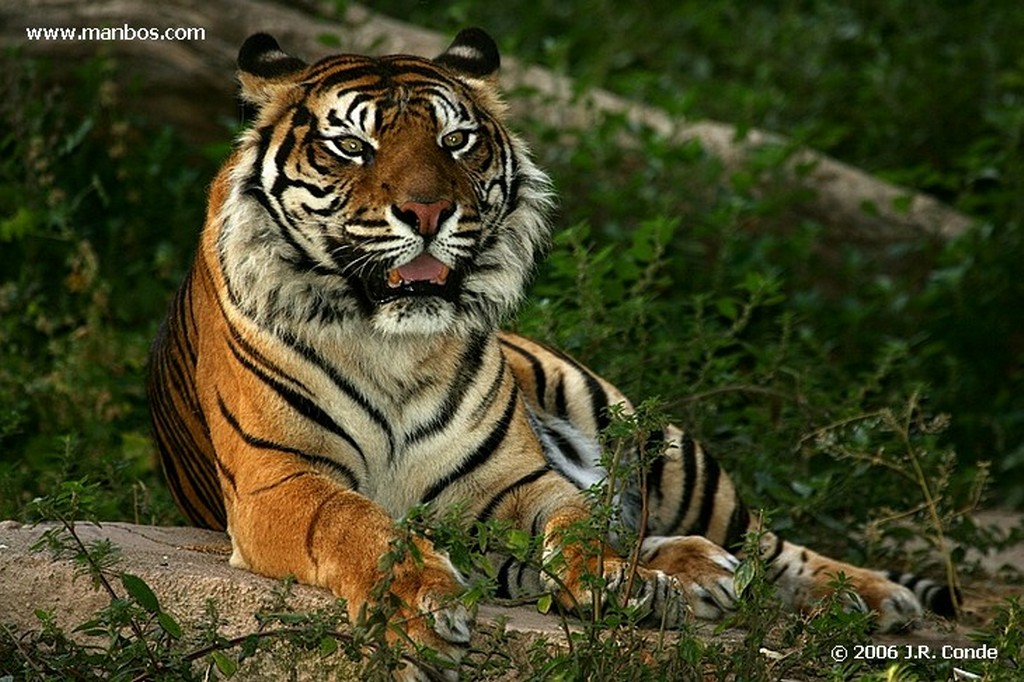 Zoo de Barcelona
Barcelona